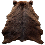 Brown Bear Hide