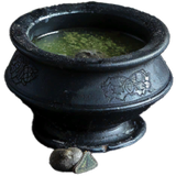 Cactus Essence Plant Soup (Tier 2)