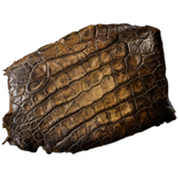 Crocodile Hide