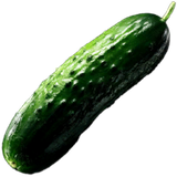 Cucumber