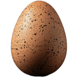Egg