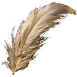 Feather