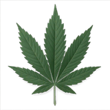 Hemp Leaf