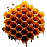 Honeycomb