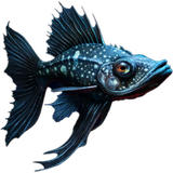 Lanternfish