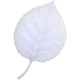 Mistrose Leaf