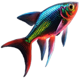 Neon Tetra