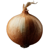 Onion