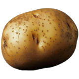 Potato