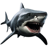 Shark