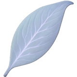 Sleep Leaf
