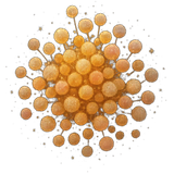 Spark Pollens