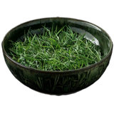 Speed Herb Meal (Tier 3)