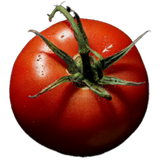 Tomato